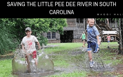 Saving the Little Pee Dee River in South Carolina